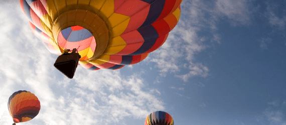 Gekko Field Marketing