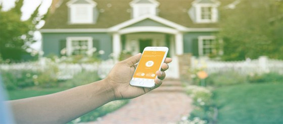 Gekko Field Marketing - Retail Dinosaur